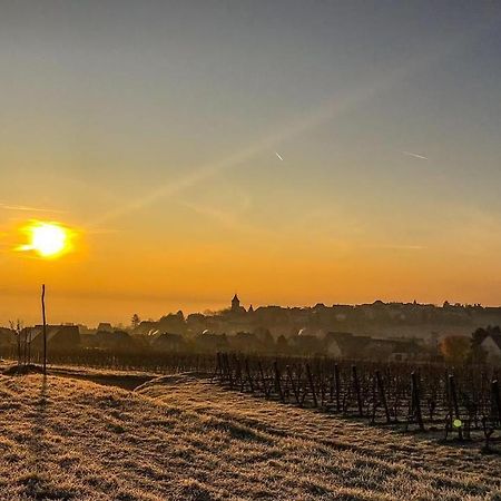 Le Vent D'Ange Villa Zellenberg Bagian luar foto
