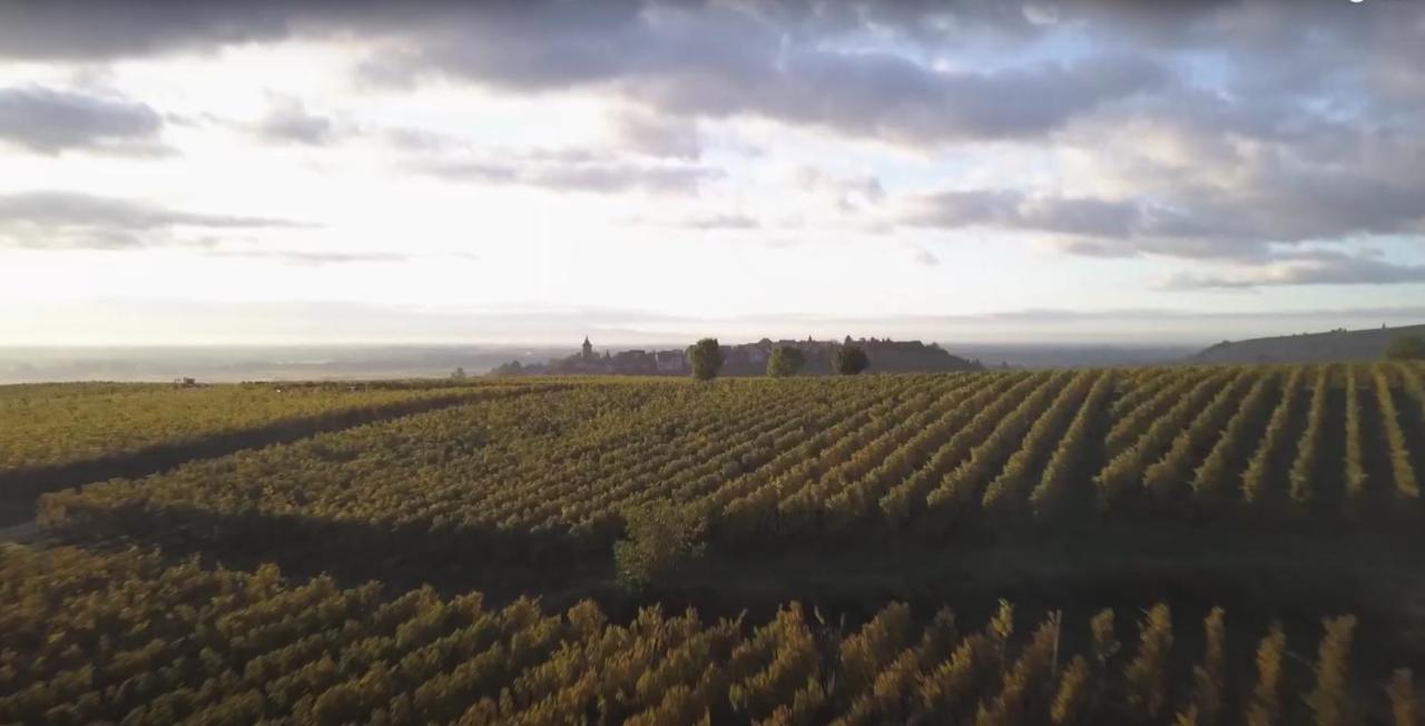 Le Vent D'Ange Villa Zellenberg Bagian luar foto
