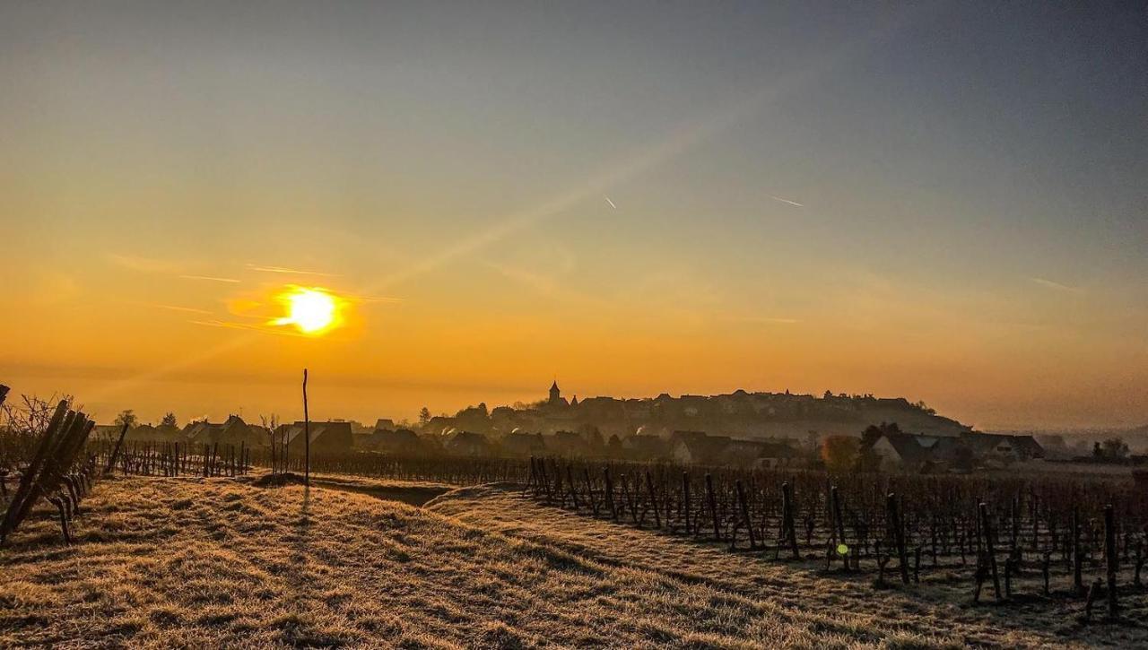 Le Vent D'Ange Villa Zellenberg Bagian luar foto