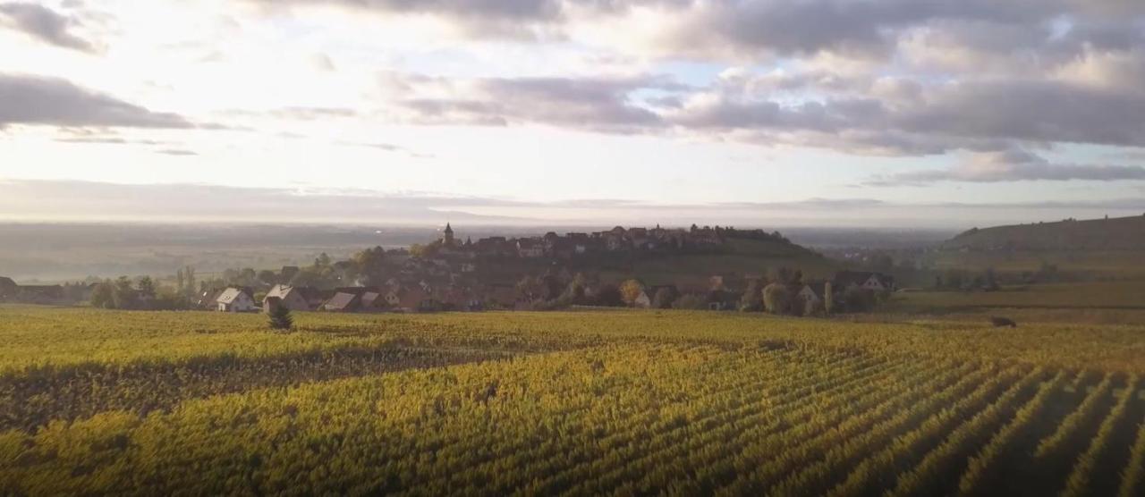 Le Vent D'Ange Villa Zellenberg Bagian luar foto